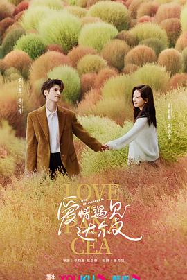 黄山网站优化排名范例